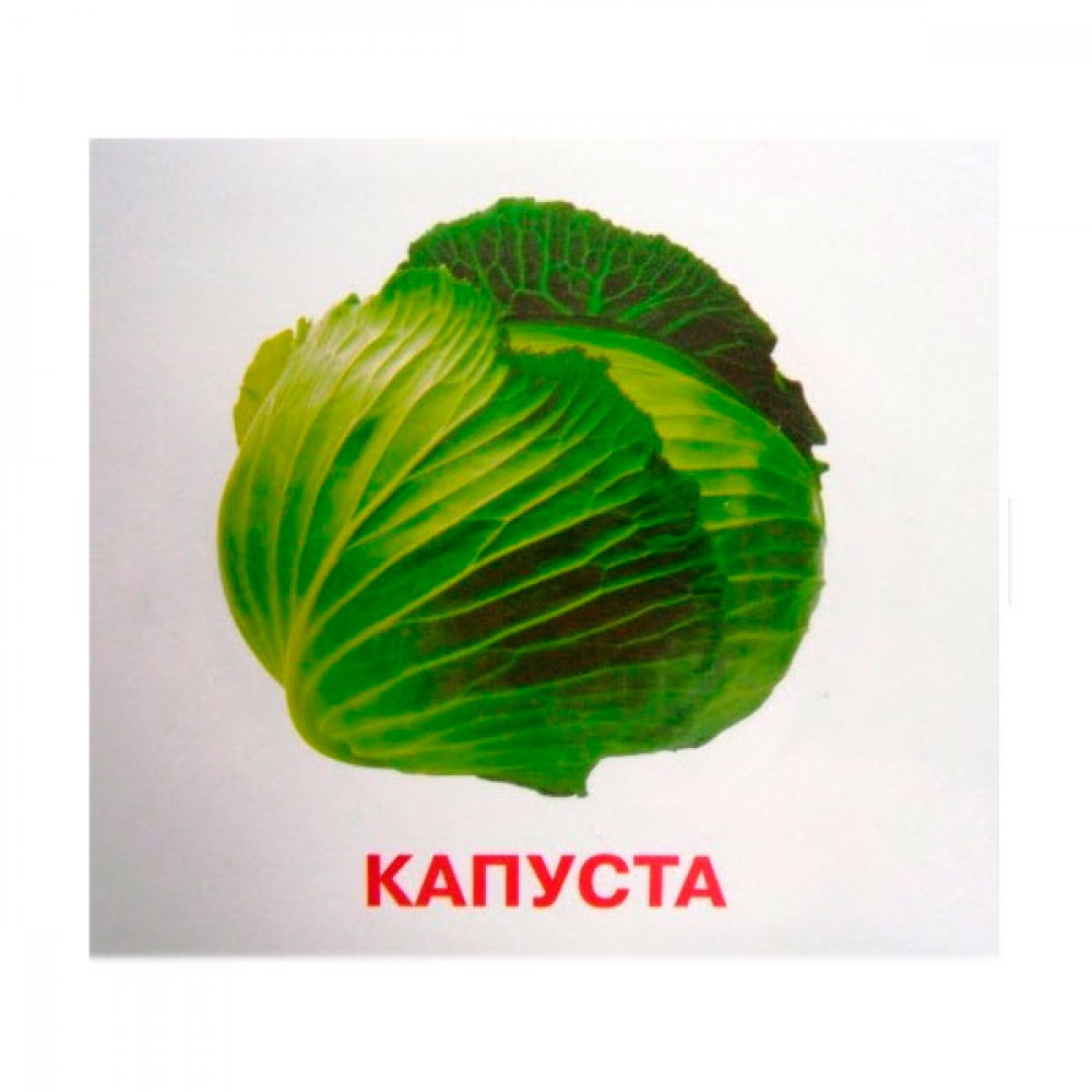 Карточки мини 18шт Что растет на огороде J018