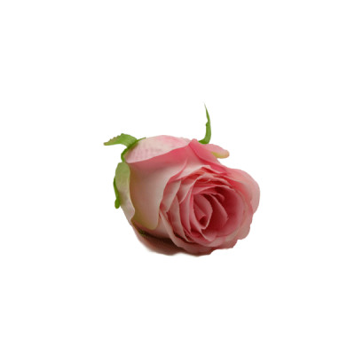 Голова цветка Роза Lovely розовая **