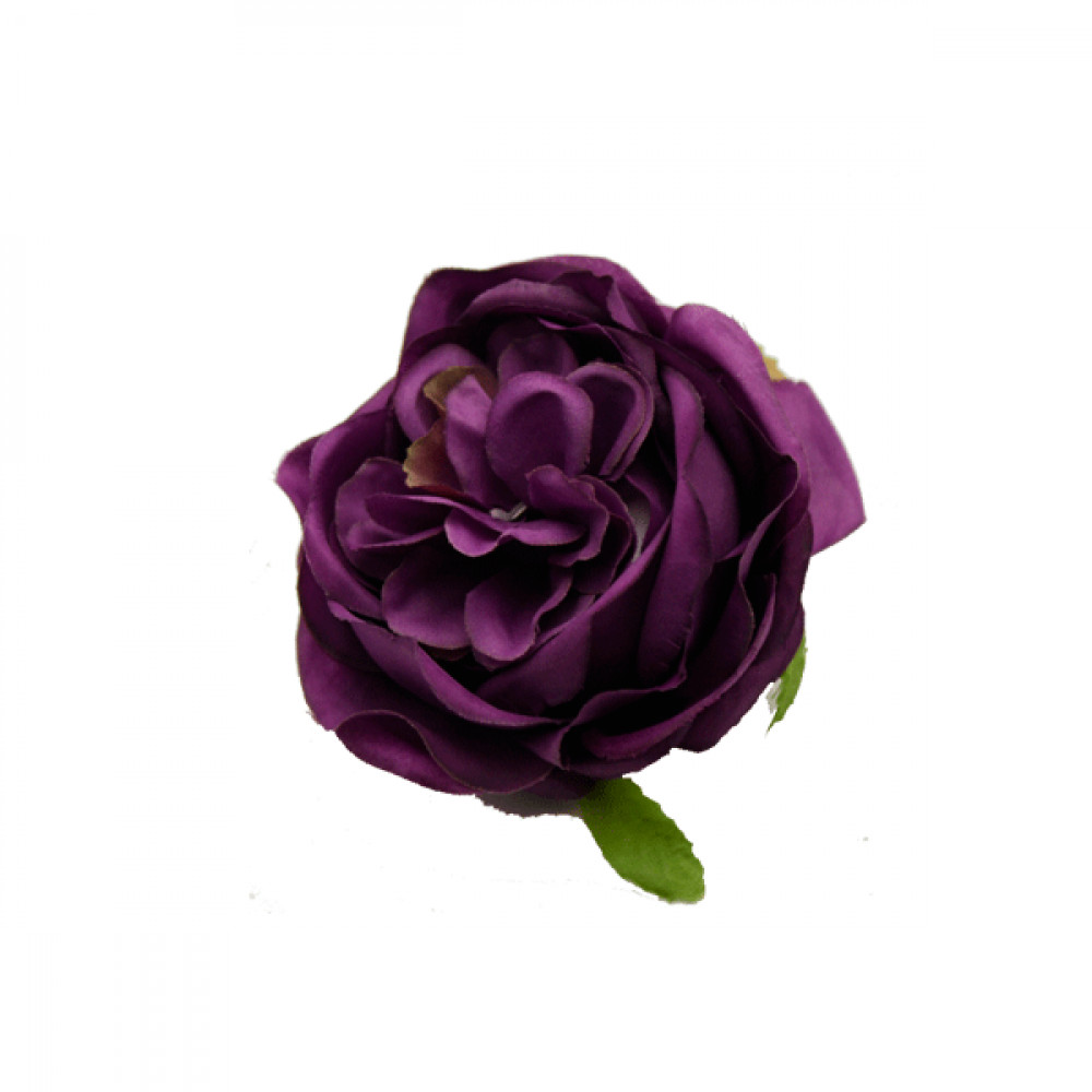 Голова цветка Английская роза сливовая **