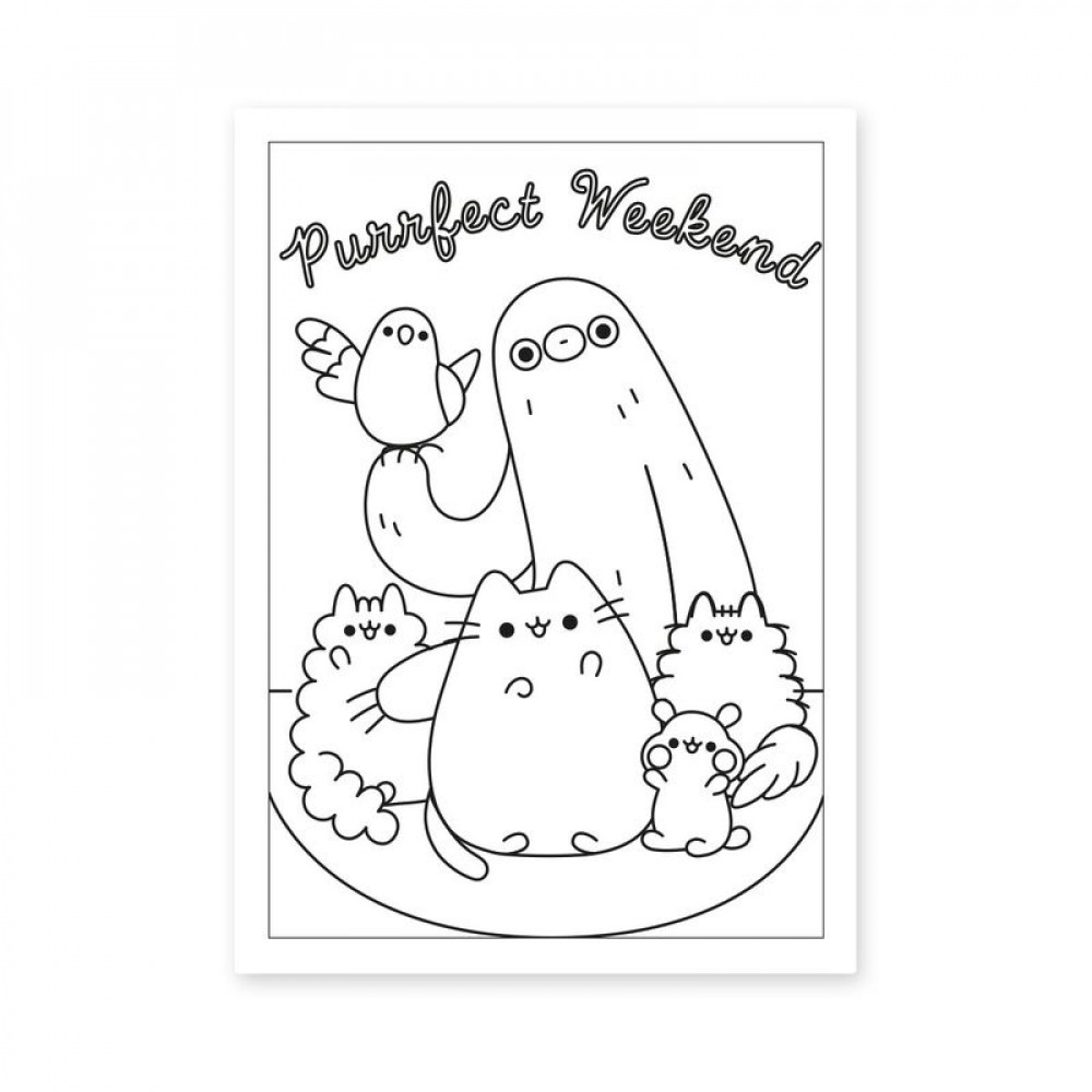 Раскраска А4 Yes Pusheen 742918 12 страниц **
