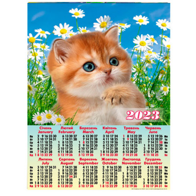 Календарь  настенный 2023 А2 А-16 Котик в ромашках