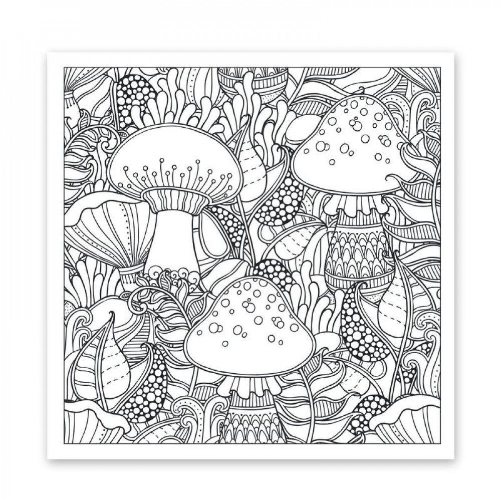 Раскраска антистресс SANTI Удивительный лес 20 страниц  20х20 см **