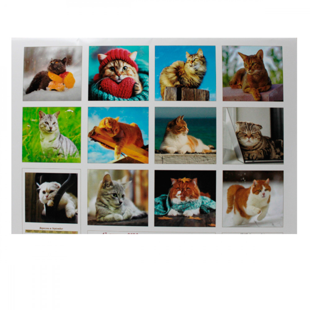 Календарь настенный перекидной 2026 27,5х31,5 Коты