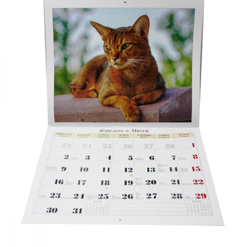 Календарь настенный перекидной 2026 27,5х31,5 Коты