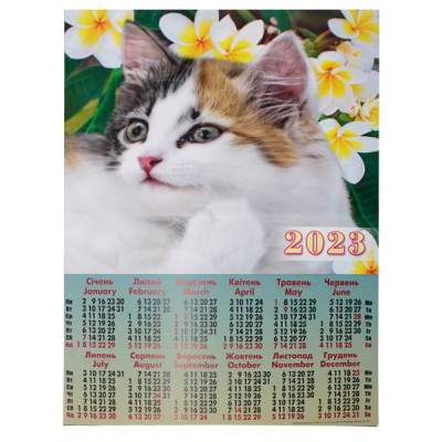 Календарь  настенный 2023 А2 А-05 Котик в белых цветах