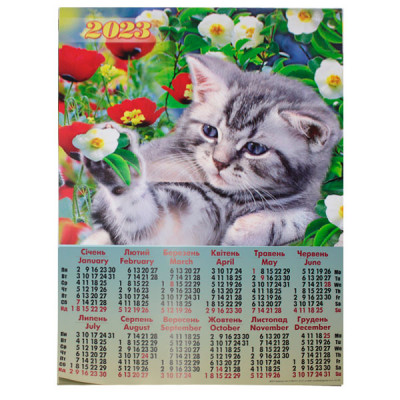 Календарь  настенный 2023 А2 А-06 Котик в маках