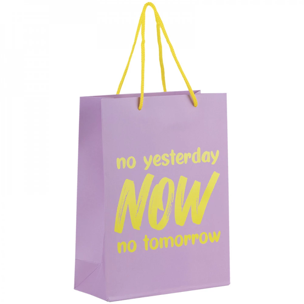 Пакет подарунковий 18х24см Axent 8501-27-А NOW