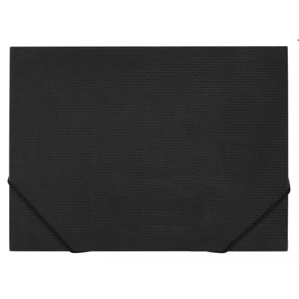 Папка пластикова А3 Economix E31629 -01чорна на резинці