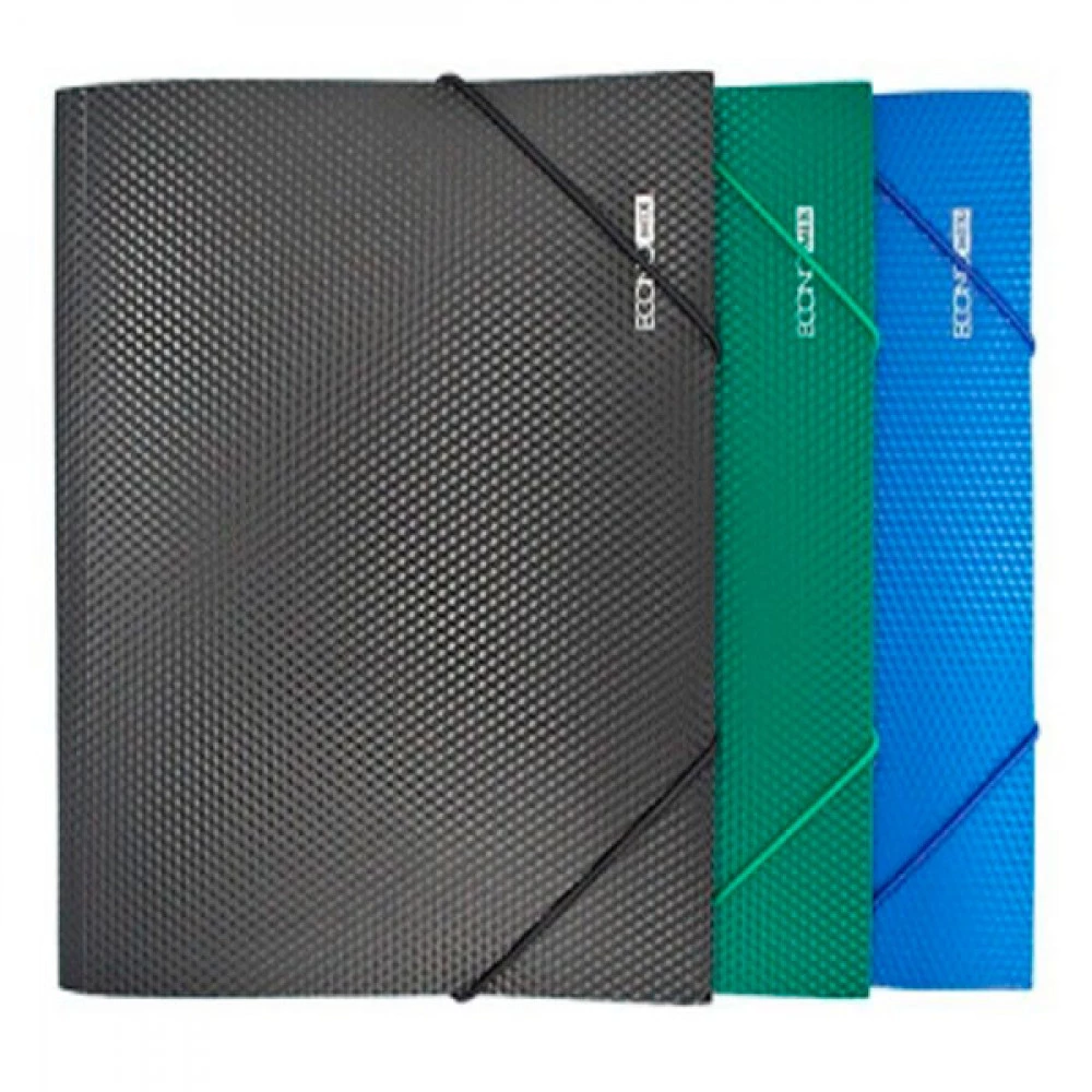 Папка пластикова А4 Economix E31601-50 2 резинки Mix