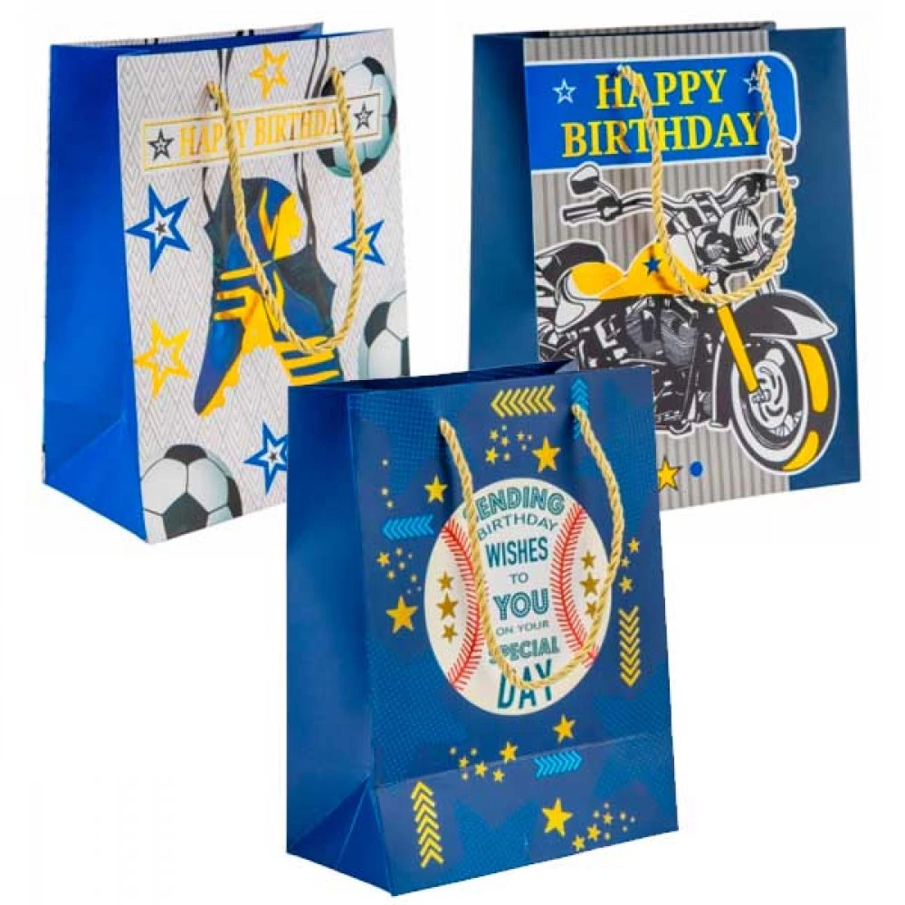 Пакет подарунковий 18х23см 9208-006 Mix