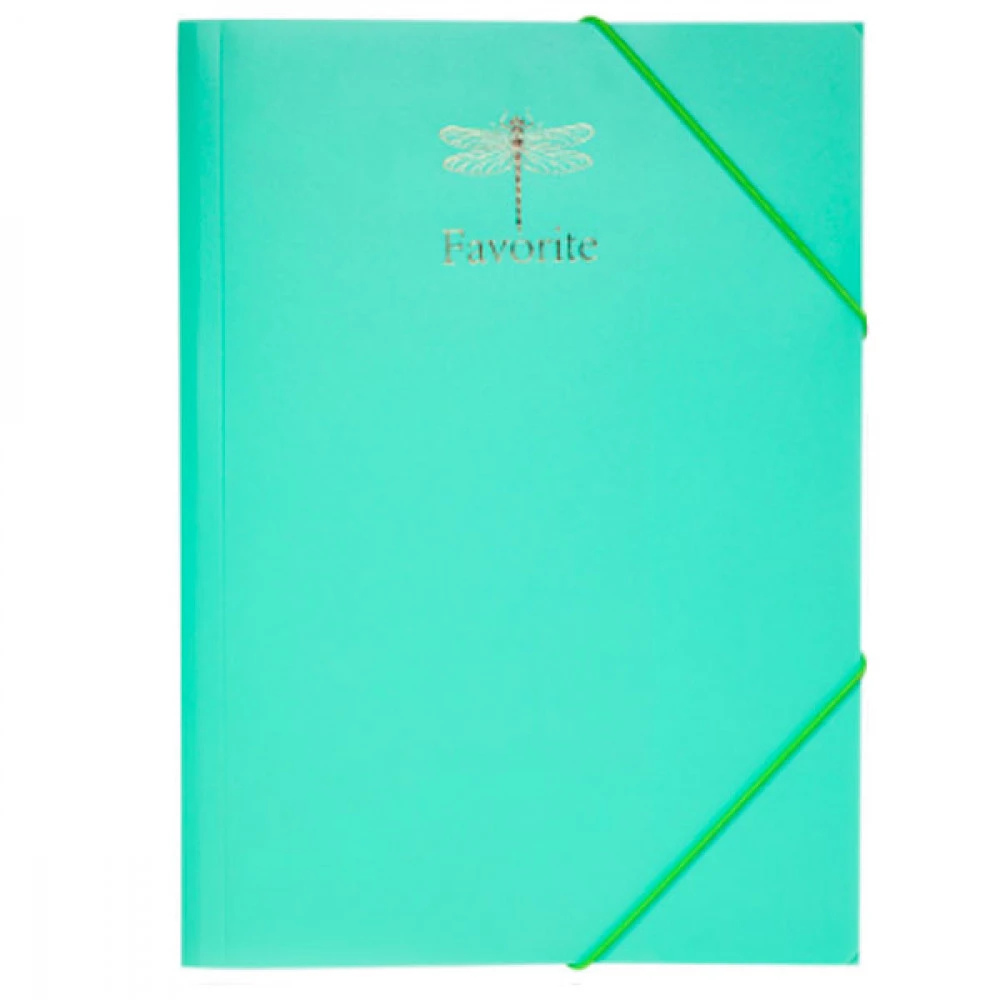 Папка пластикова А4 BuroMAX 3954-38 Pastel на мятній резинці