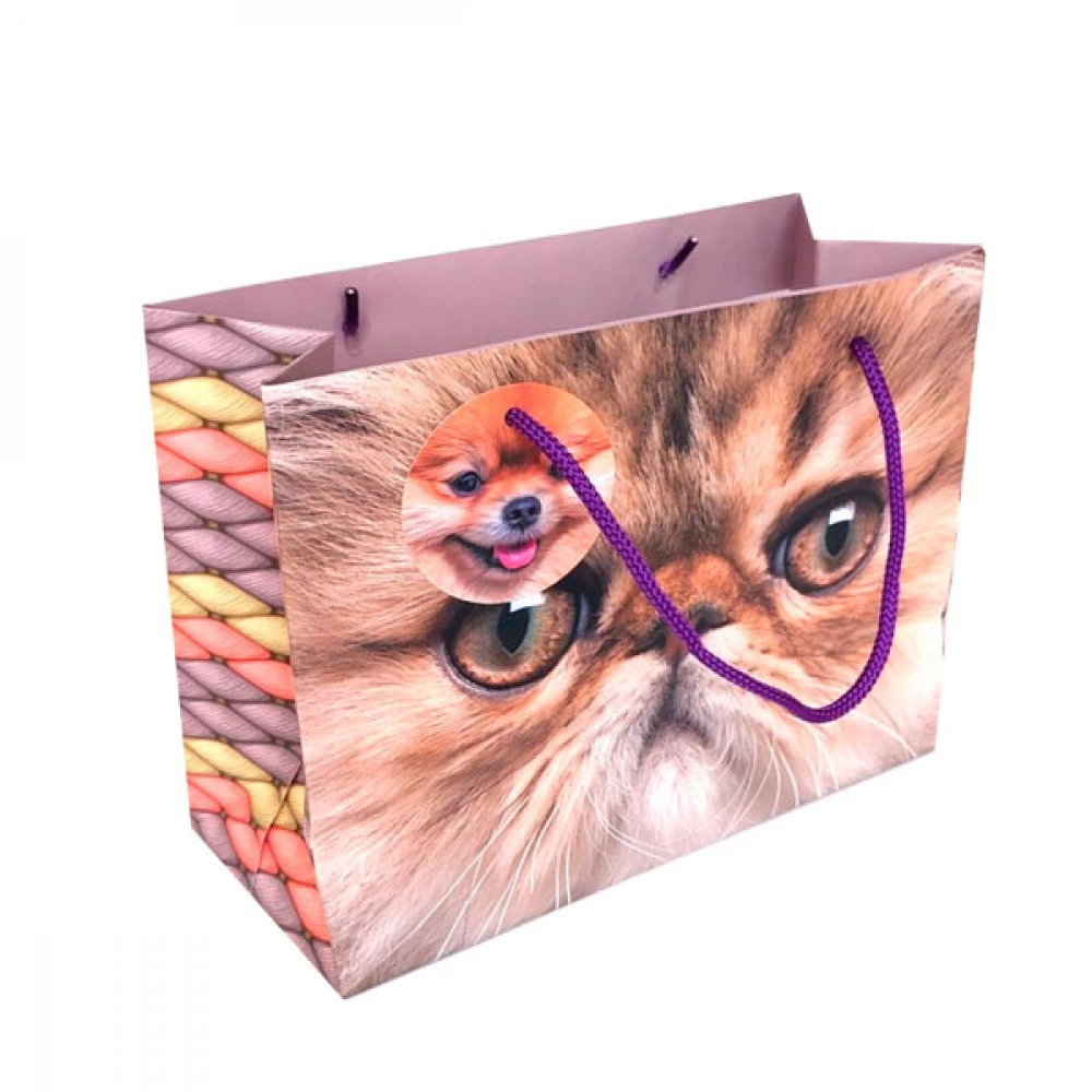 Пакет подарунковий 23х18х10 GB22-231810-14 Mix