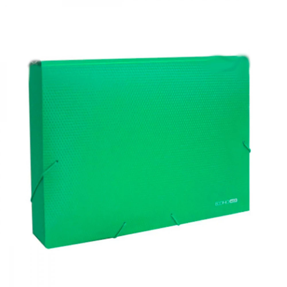 Папка-бокс А4/60мм Economix E31405-04 на резинках зелена