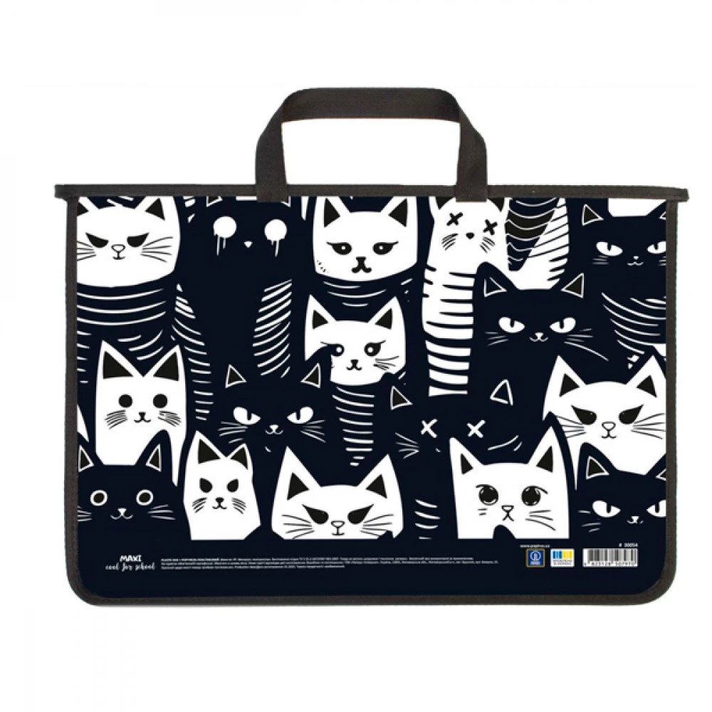 Портфель пластиковий А4 2 відділення MAXI MX30054