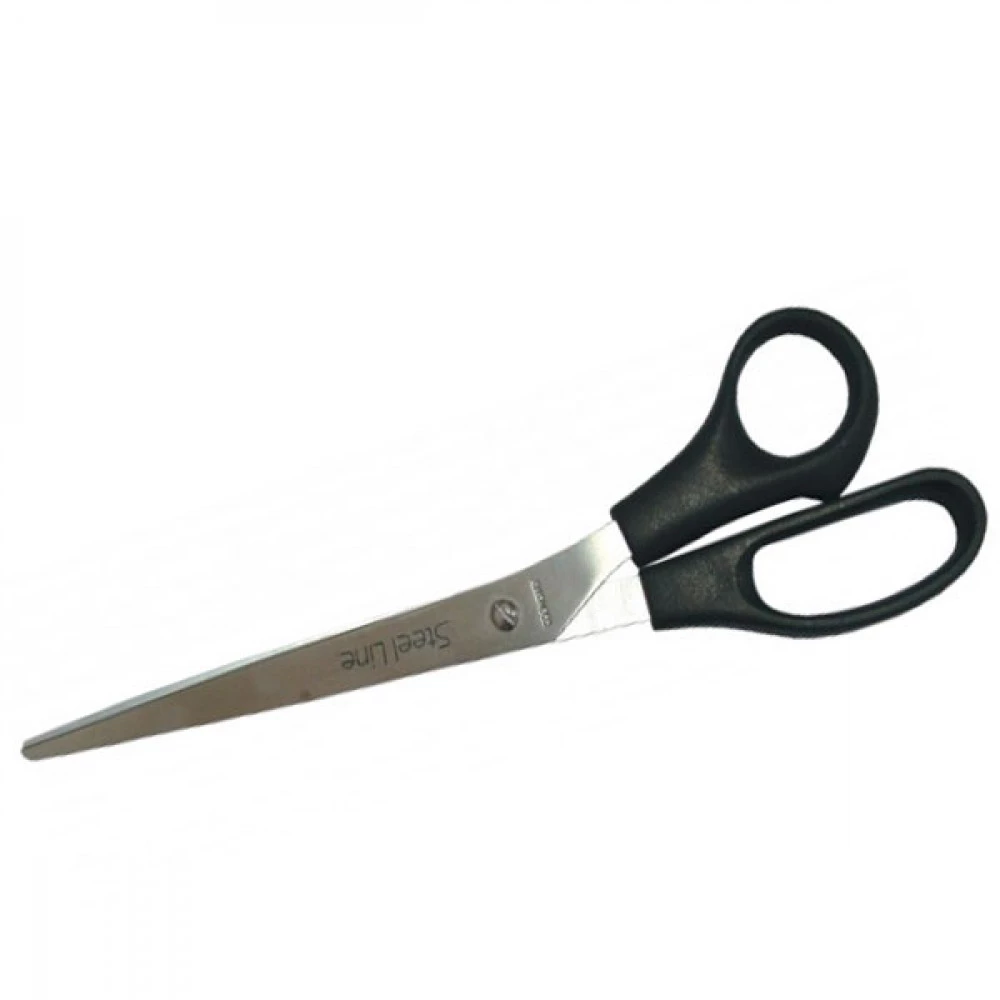 Ножиці Economix 25 см E40415